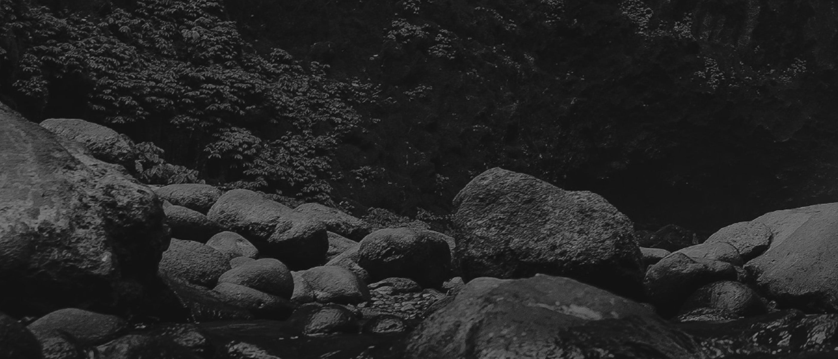 A dark, rocky landscape features a stream cascading over boulders. Dense foliage in the background completes this natural masterpiece—a real-life scene even Custom Bundles Shower Bundle + Add ons couldnt replicate.