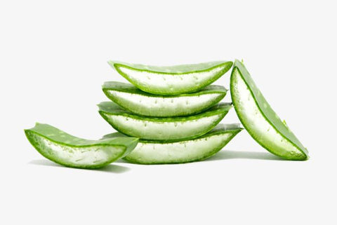 Aloe Barbadensis Leaf