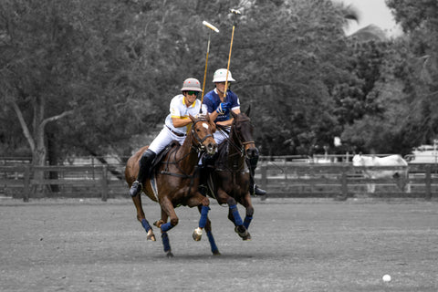 action_polo_shot.jpg